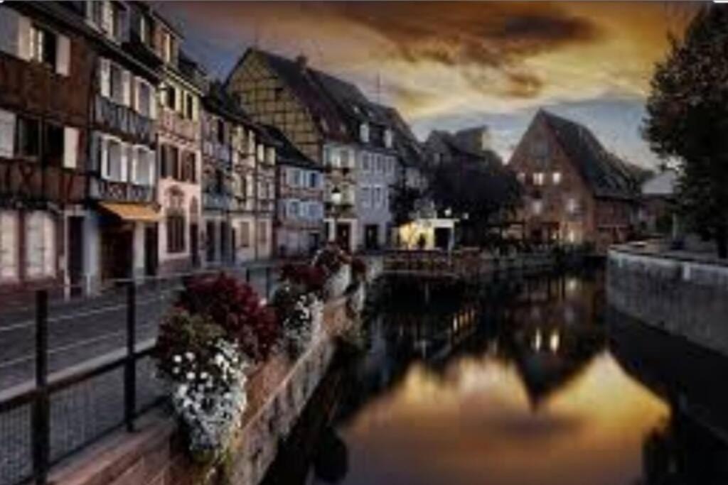 Petit Paradis *
