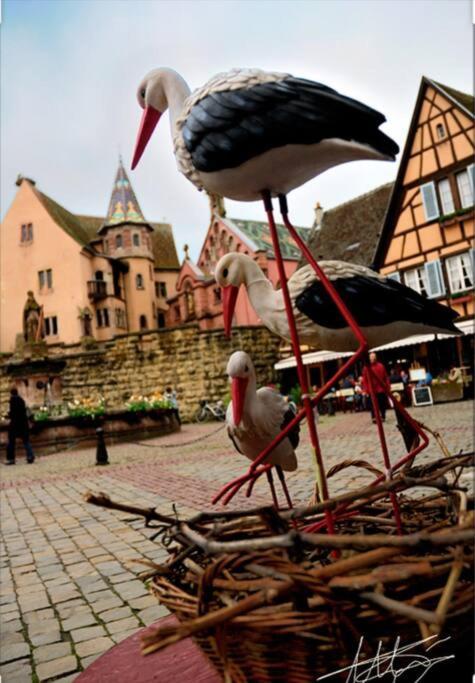 Petit Paradis * Colmar