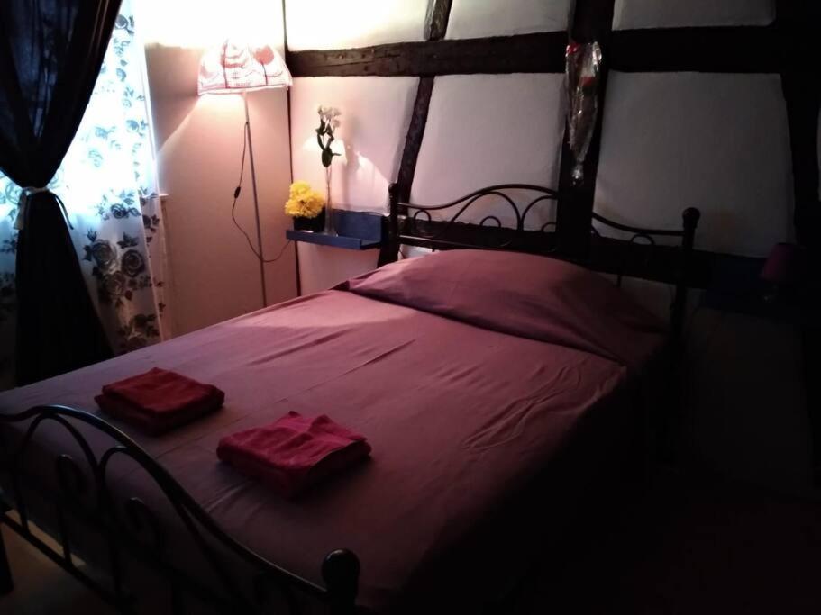 Petit Paradis Appartement Colmar